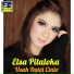 Elsa Pitaloka