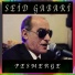 Seid Gabari