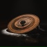 Avro, Asp