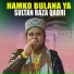Sultan Raza Qadri