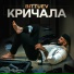 BITTUEV