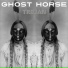 Ghost Horse