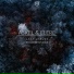 Askel & Elere