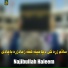 Najibullah Haleem