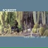 FORESTT