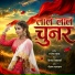 Neelam Narayan