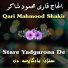 Qari Mahmood Shakir