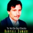 Baryali Samadi