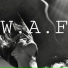 KAPTION feat. The Guy, El Toron, Anti Savage