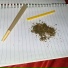 Solizzy, 90sforrr T.S