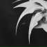 INEO