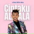 Udin Sedunia
