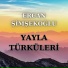 Ercan Şimşekoğlu