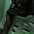 alyx