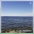 Dr. Sounds, Alexander Forselius, Buddhaflow