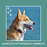 Dog Chill Out Music