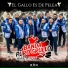 Banda Puro Grullo