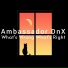 Ambassador DnX