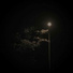 Said Lzx feat. kidd thome, helmy