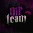 Mr Team