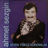 Ahmet Sezgin