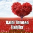 Celaleddin