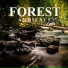 Ambient Sounds from I'm In Records