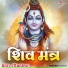 Mridul Krishan Shastri