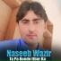Naseeb Wazir