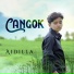 Aidilla
