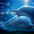 Sleepy Baby Animals, Wunderkind Classic