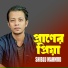 Shiblu Mahmud