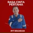 Ipit Brandan