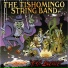 The Tishomingo String Band