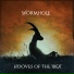 Wormhole