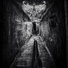 Rotting CorpsE