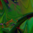 Slange s