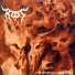 Root