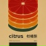 SPUDB, George Karayiannis