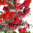 Run Music