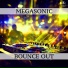 Megasonic
