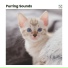 Music For Cats