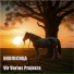 Vir Varius Projects
