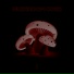 MUSHROOM CORE