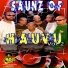 SAUNZ OF HAUVU