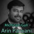 Arin Parwani