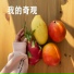阮子萱