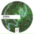 Collate