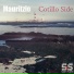 Mauritzio