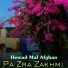 Hewad Mal Afghan